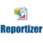 reportizer220-220