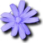 c64-forever220-220