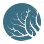 Lumion Pro