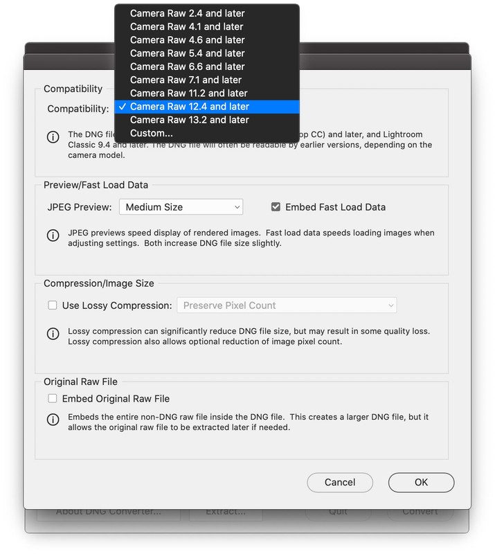 Adobe DNG Converter (Español) 2