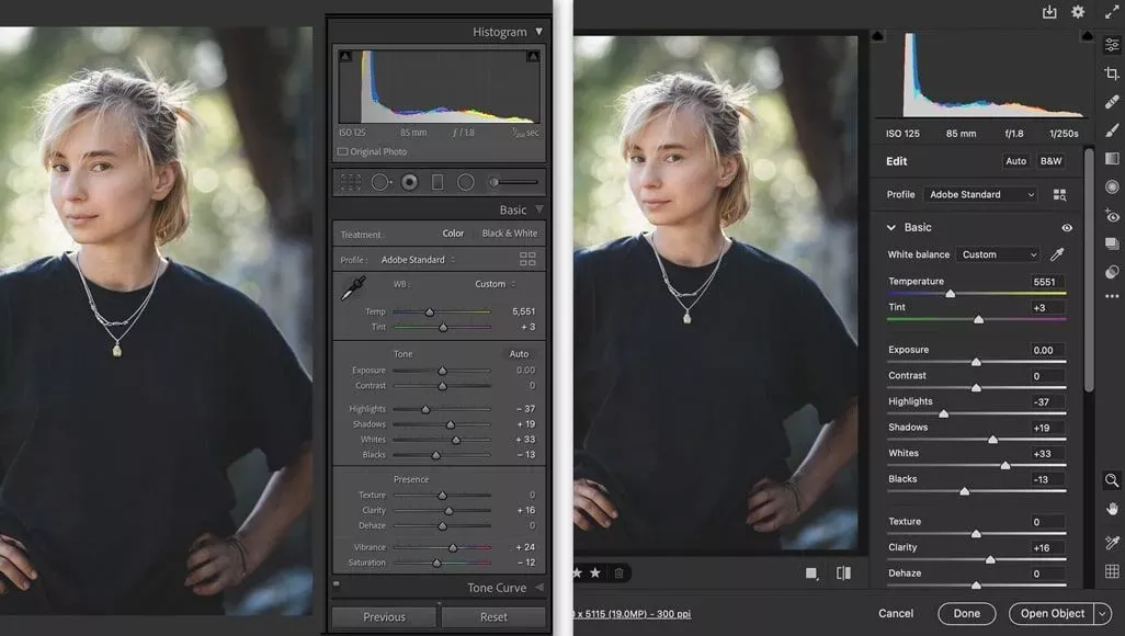 Adobe Camera Raw (2023) Español 1