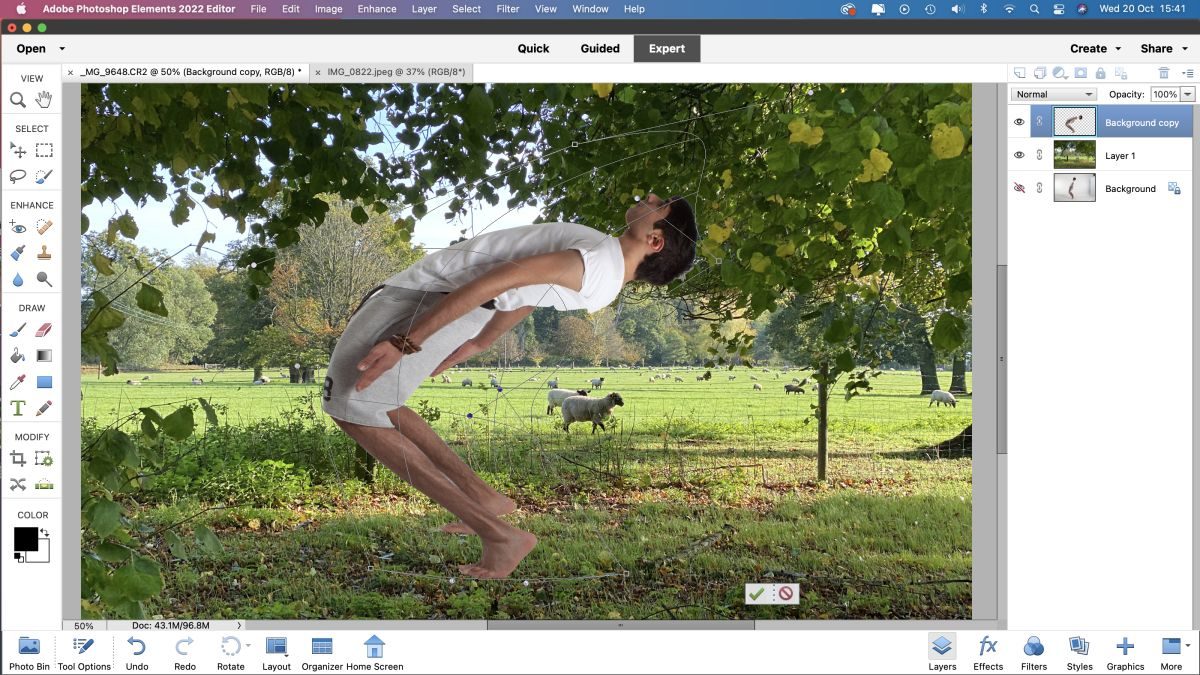 Adobe Photoshop Elements Pre-activated (Español) 1